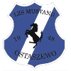 Mustang Ostaszewo футбол Mustang Ostaszewo футбол