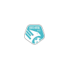 Forte Virtus FC футбол