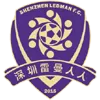 Shenzhen Ledman