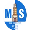 Merzifonspor