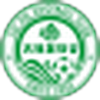 Tai Po футбол