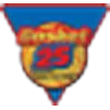Баскет 25 Быдгощ (Ж)